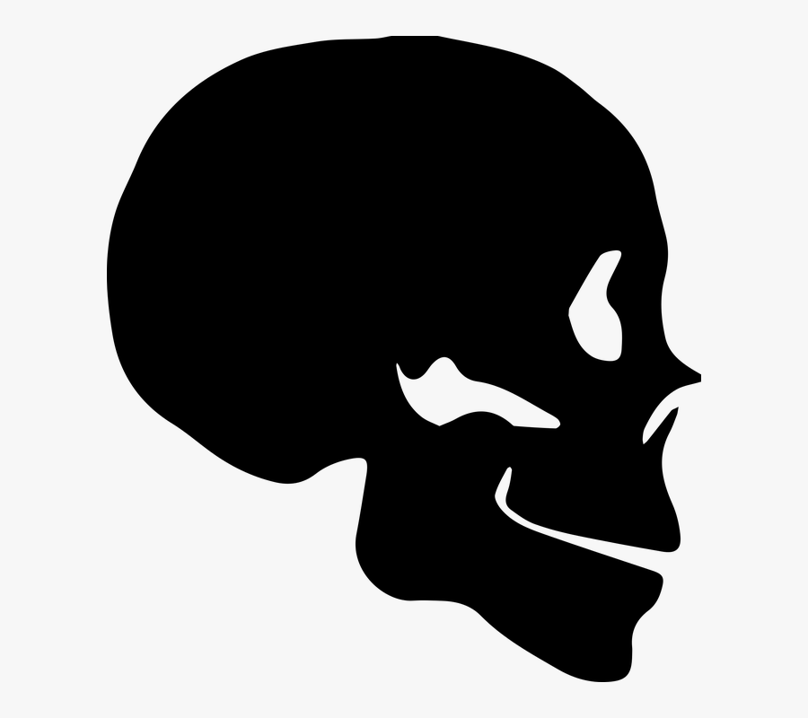 Skull Silhouette Bone Human Skeleton - Silueta De Un Craneo, Transparent Clipart