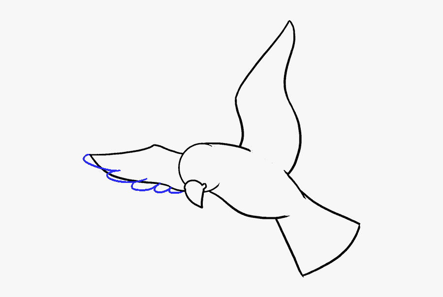 How To Draw Bird - Bird Drawing, Transparent Clipart