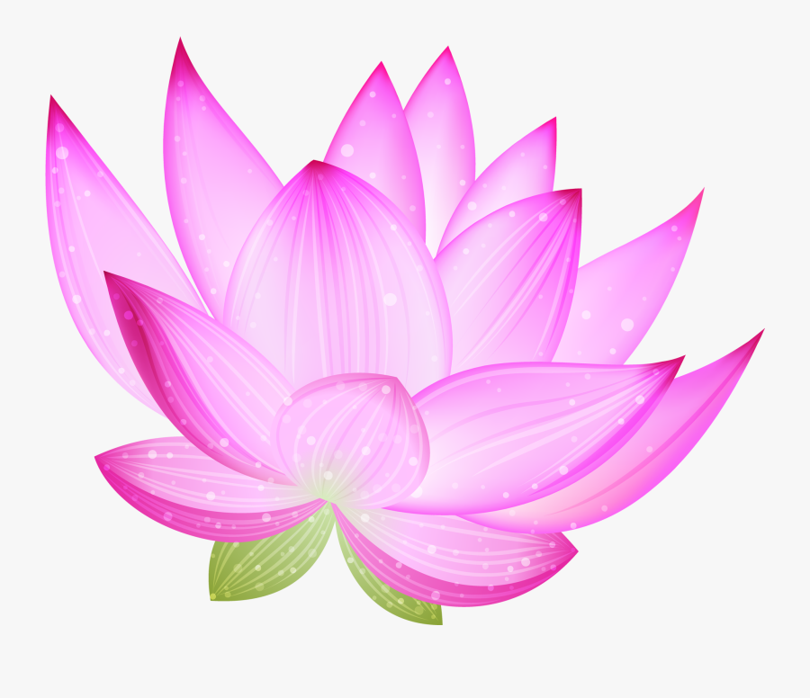 Large Pink Lotus Png Clipart - Blog , Free Transparent Clipart - ClipartKey