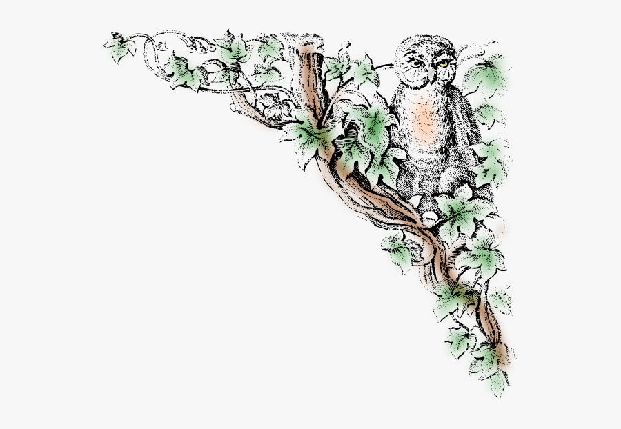 Transparent Owl Tree Clipart - Clip Art Owls Public Domain, Transparent Clipart