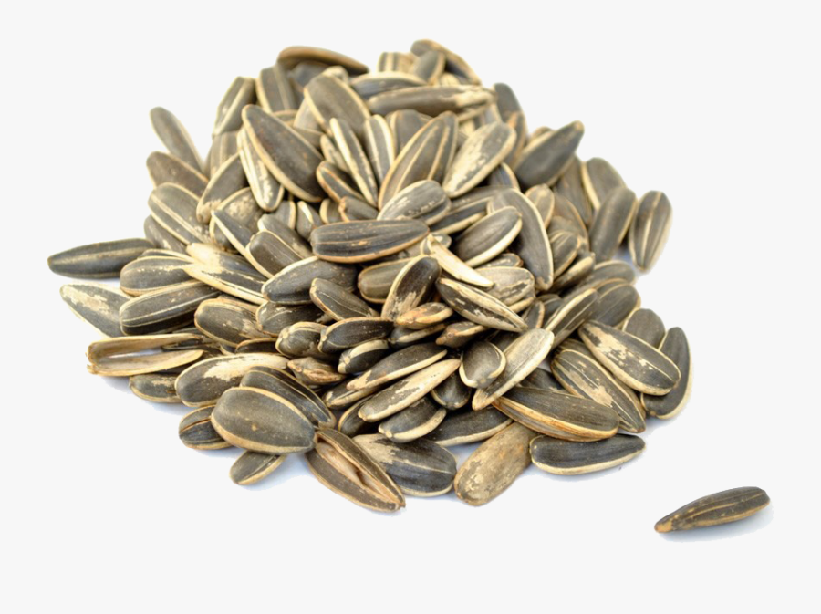 Download Sunflower Seeds Png Picture, Transparent Clipart