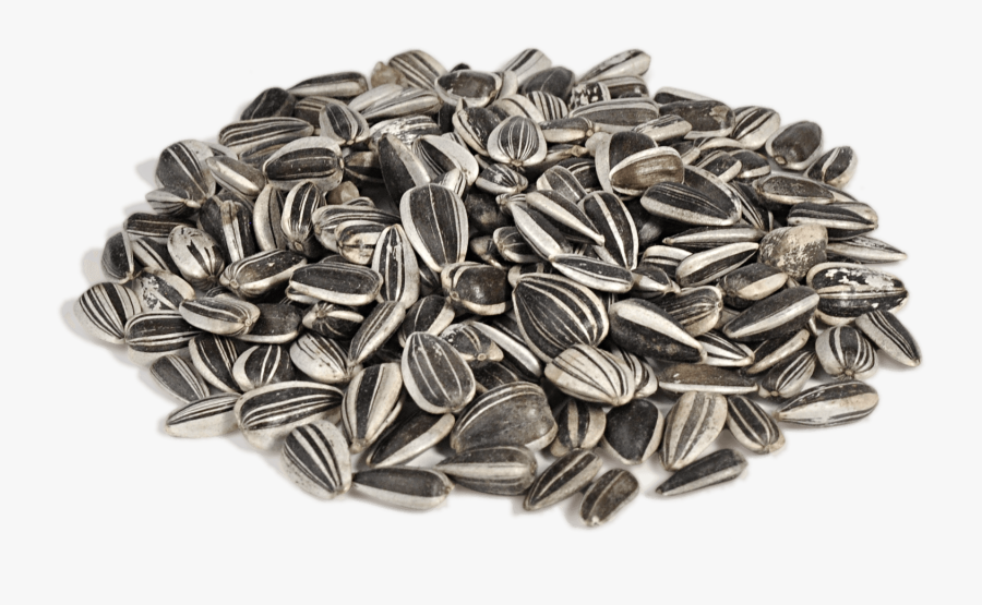 Free Free 209 Clipart Sunflower Seeds SVG PNG EPS DXF File