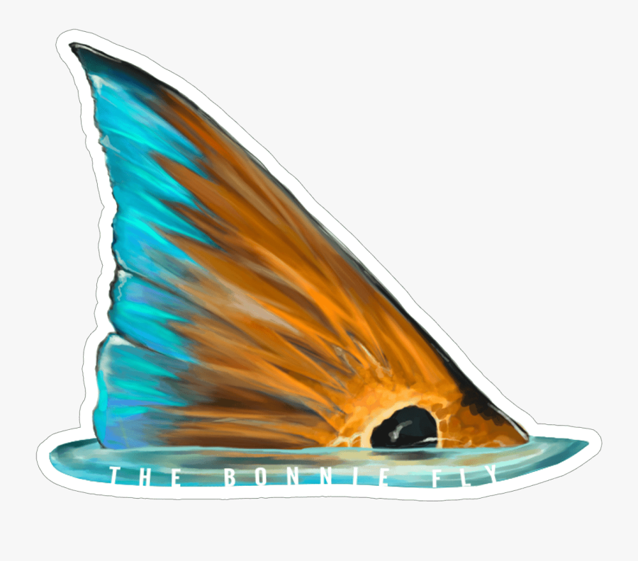 Download Brandon Finnorn Redfish Tail Sticker - Red Drum Fish Clip Art , Free Transparent Clipart ...