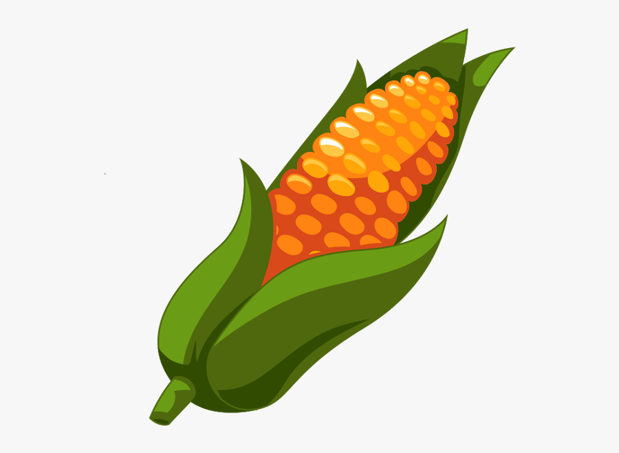 Maize , Free Transparent Clipart - ClipartKey