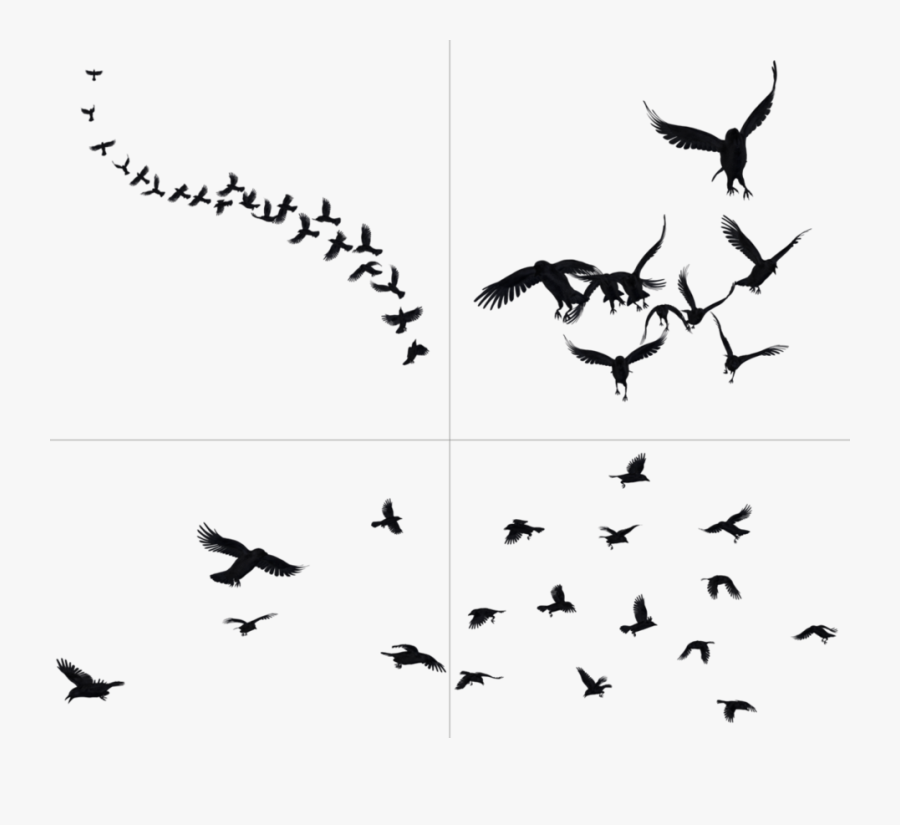 Crows Png, Transparent Clipart