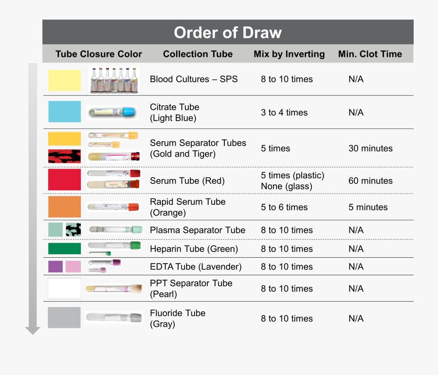 Order Of Draw 2018, Transparent Clipart