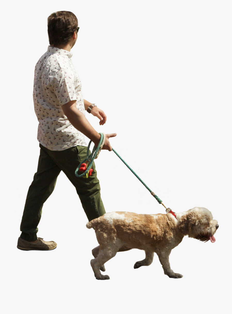 Person Walking Dog Png Clipart , Png Download - Man With Dog Walking Png, Transparent Clipart