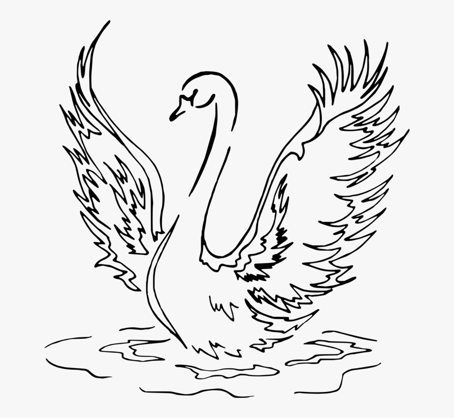 Fowl,beak,galliformes - Swan Drawing Png, Transparent Clipart