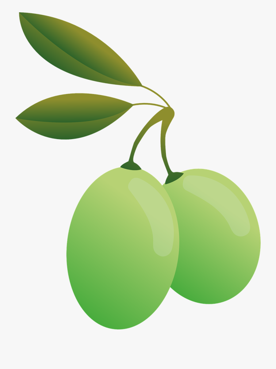 Olives Green Oil Free Picture - Olive Transparent Background, Transparent Clipart