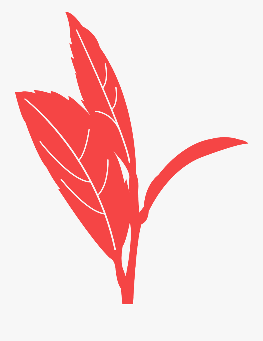 Red Tea Leaf, Transparent Clipart