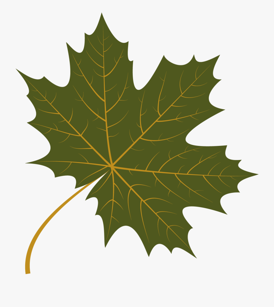 Autumn Leaf Free Vector, Transparent Clipart