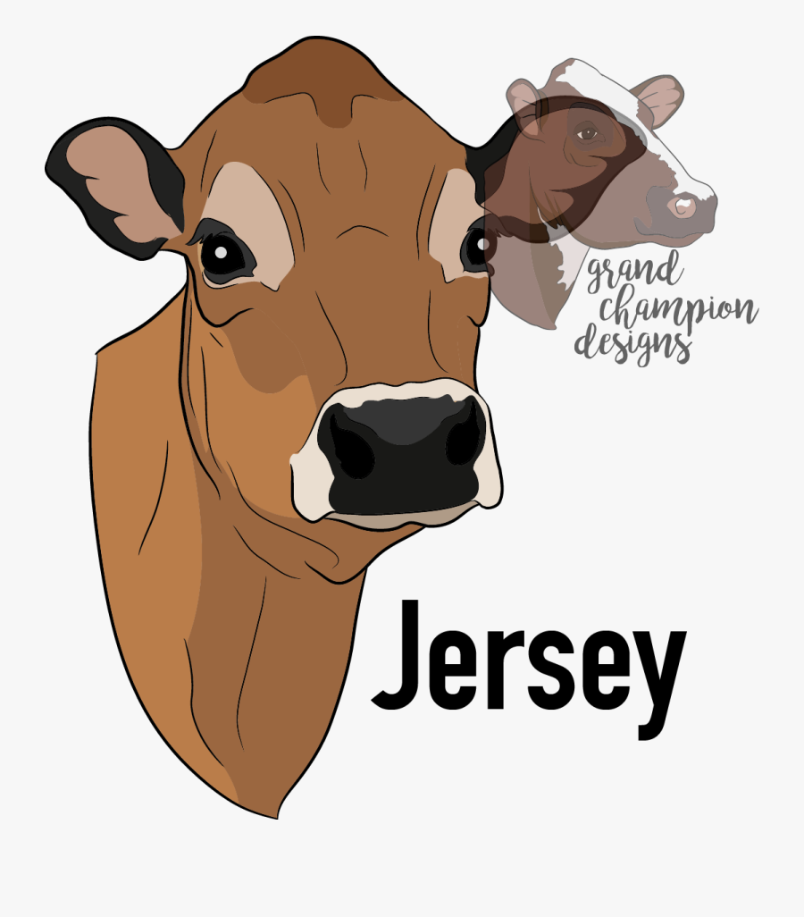 Transparent Cartoon Cow Png - Jersey Cow Head Clip Art, Transparent Clipart