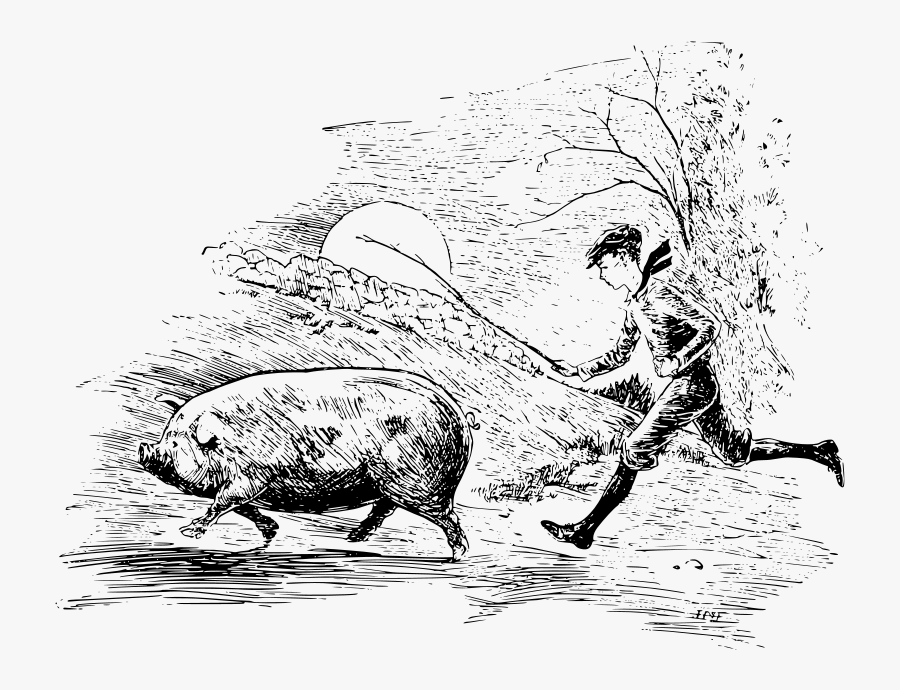 Download A Boy Running Behind A Pig With A Stick - Pig Drawing Running, Transparent Clipart