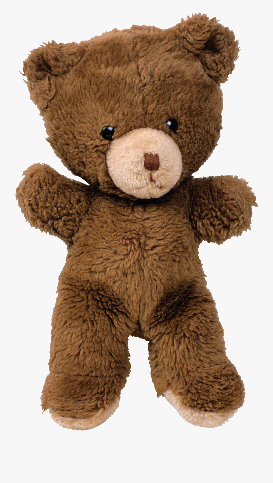 teddy bear transparent