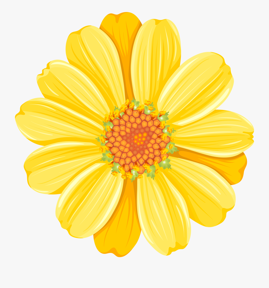 Download Yellow Daisy Png Transparent Clip Art Image , Transparent , Free Transparent Clipart - ClipartKey