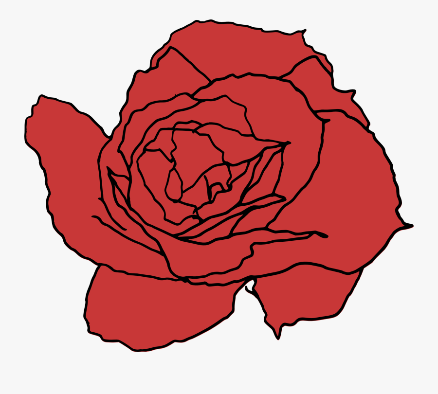 Transparent Red Rose Transparent Png - Rose Drawing Transparent, Transparent Clipart