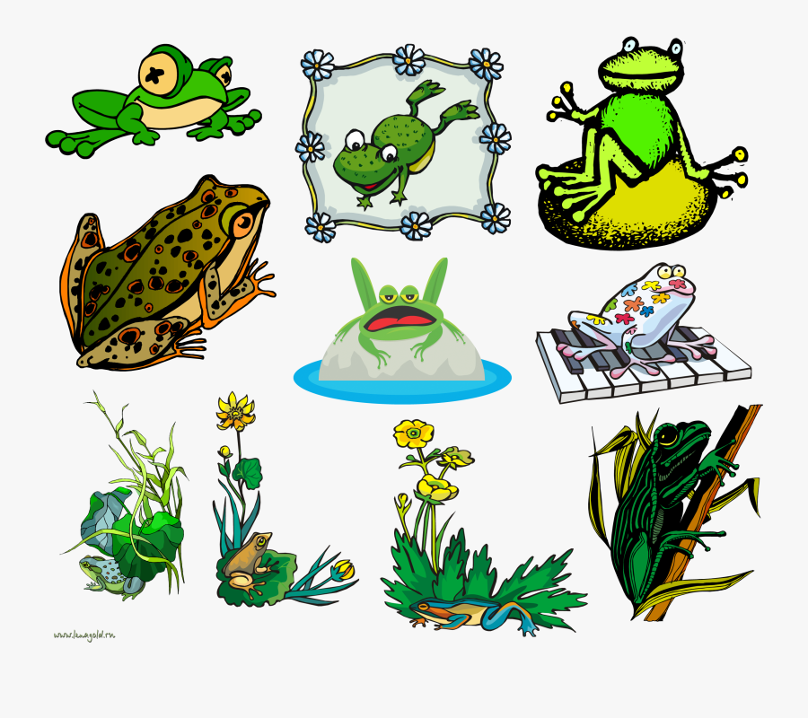 Sweet Frog Cliparts - Toad Clip Art, Transparent Clipart