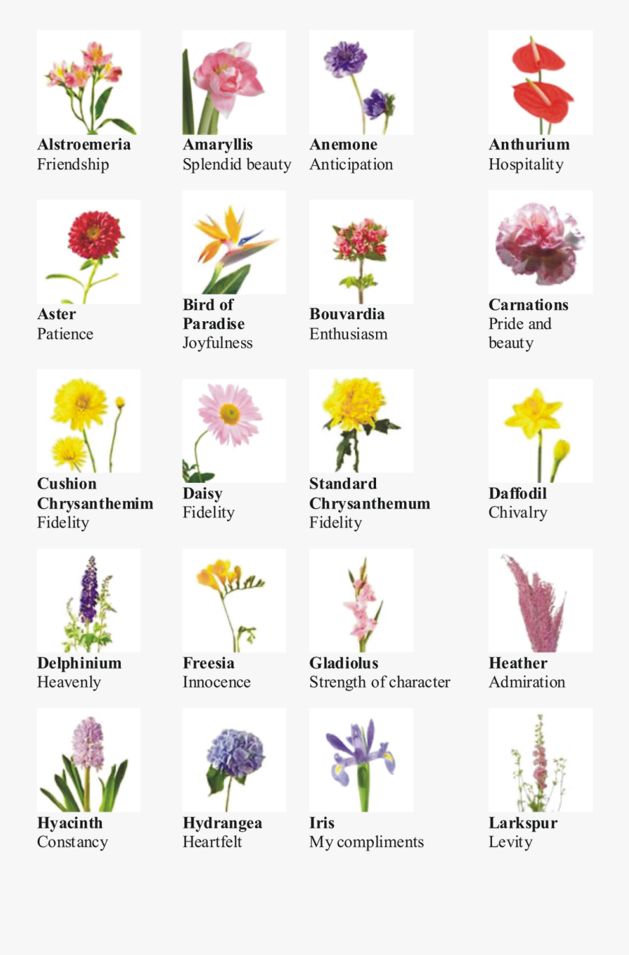 Name Kinds Of Flowers , Free Transparent Clipart - ClipartKey