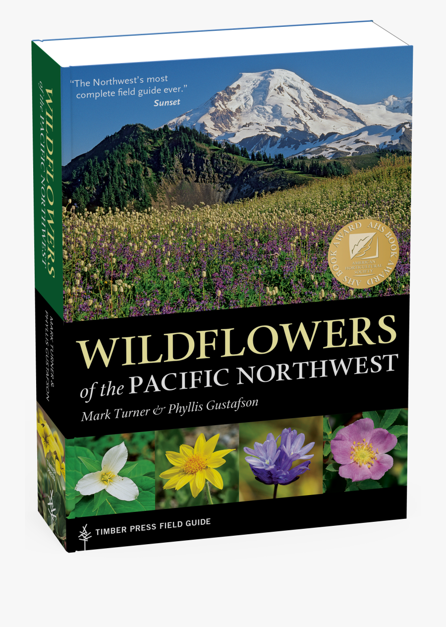 Transparent Wildflower Png - Wildflowers Of The Pacific Northwest, Transparent Clipart