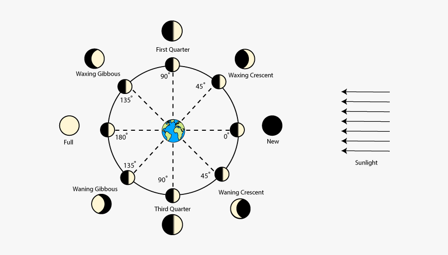 Phases Of The Moon Diagram - Phases Of The Moon With Degrees, Transparent Clipart