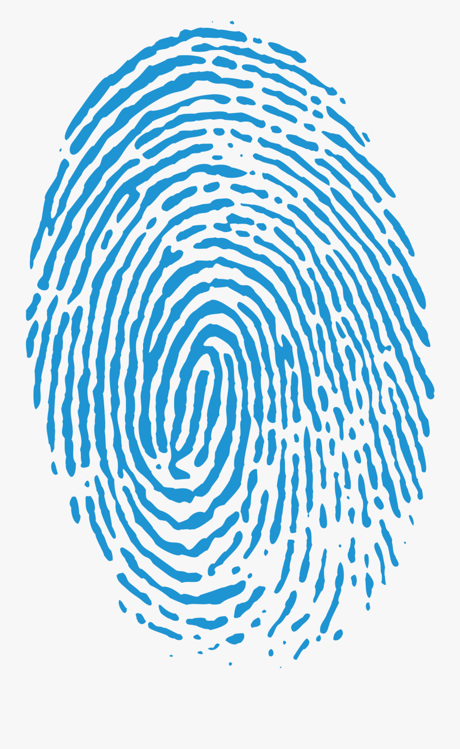 Fingerprint Png - Blue Fingerprint Transparent Background, Transparent Clipart