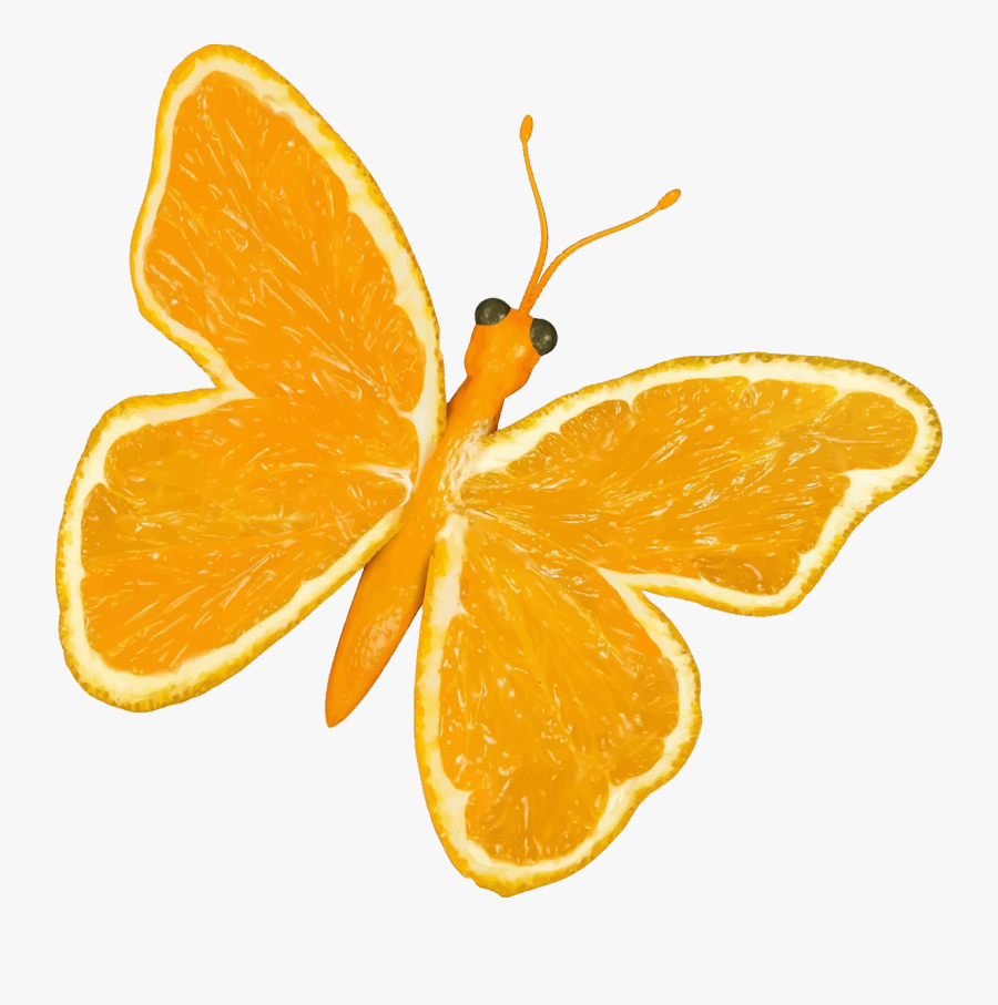 Butterfly,mandarin Orange,vegetarian Food - Cartoon Yellow Butterfly Png, Transparent Clipart