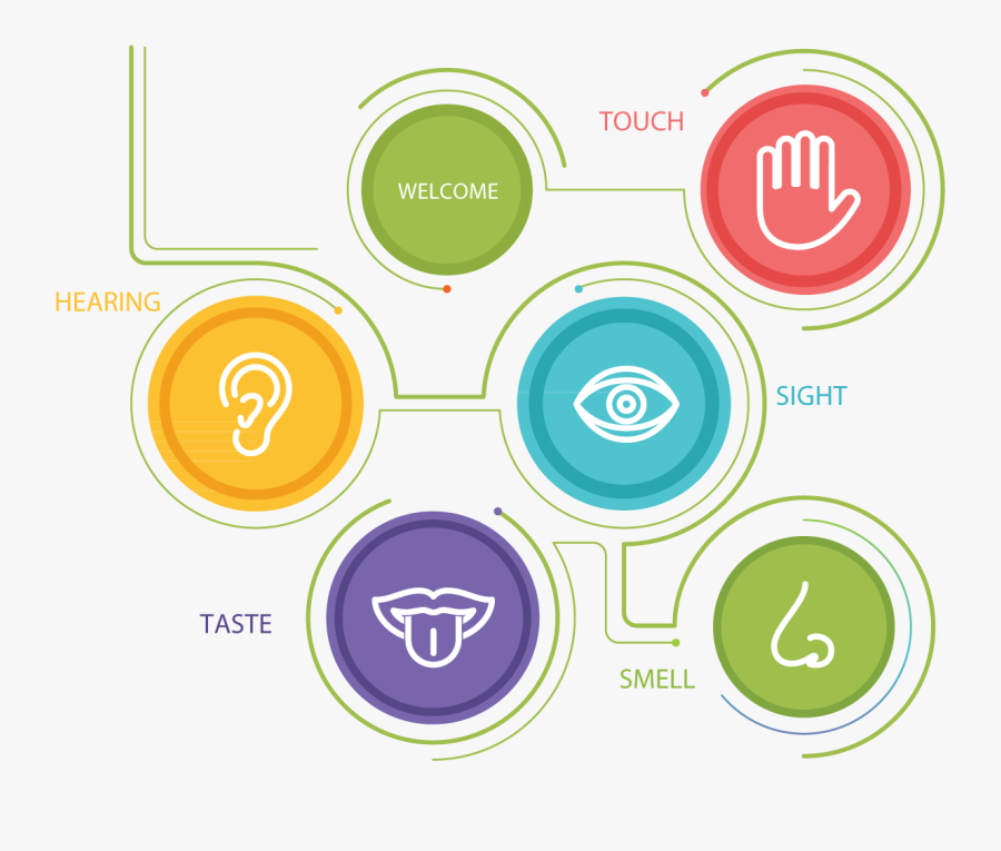 Touch Clipart Sense Organ - Circle, Transparent Clipart