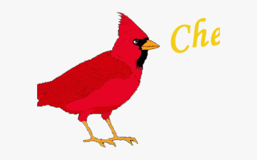 Transparent Cardinal Clipart - Clipart Cardinal, Transparent Clipart