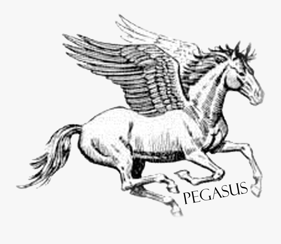 Transparent Pegasus Clipart - Pegasus, Transparent Clipart
