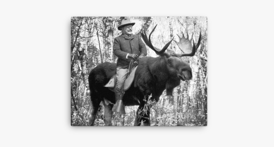 Teddy Roosevelt Riding A Bullmoose Canvas - Teddy Roosevelt Bull Moose, Transparent Clipart