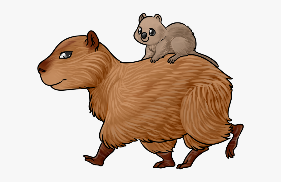 Transparent Quokka Png - Capybara Easy To Draw , Free Transparent