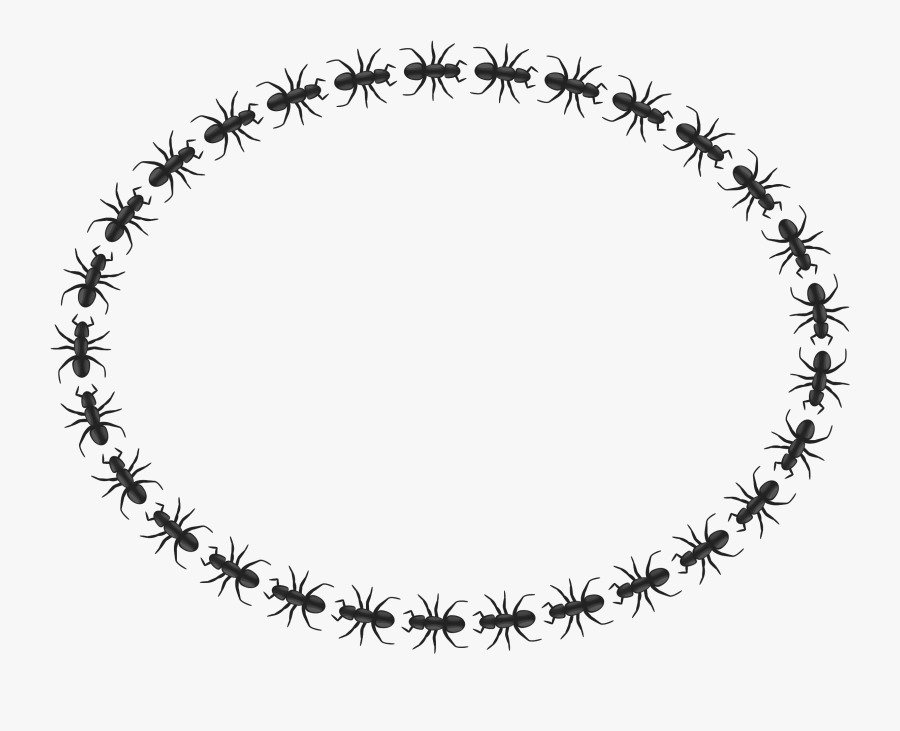 Clipart - Icon Border Circle Png, Transparent Clipart