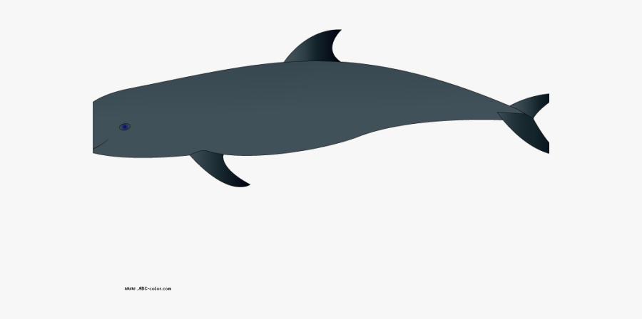 Wholphin, Transparent Clipart