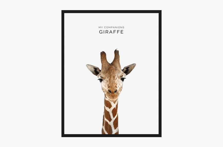 Clip Art My First Crush - Painting Of A Giraffe Blowing Bubble Gum, Transparent Clipart