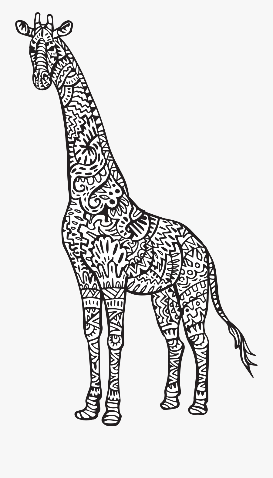 Coloring Baby Jokingart Com - Free Adult Colouring Page Giraffe, Transparent Clipart