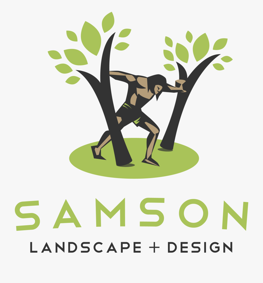 Samson And Design Alumni - Illustration, Transparent Clipart