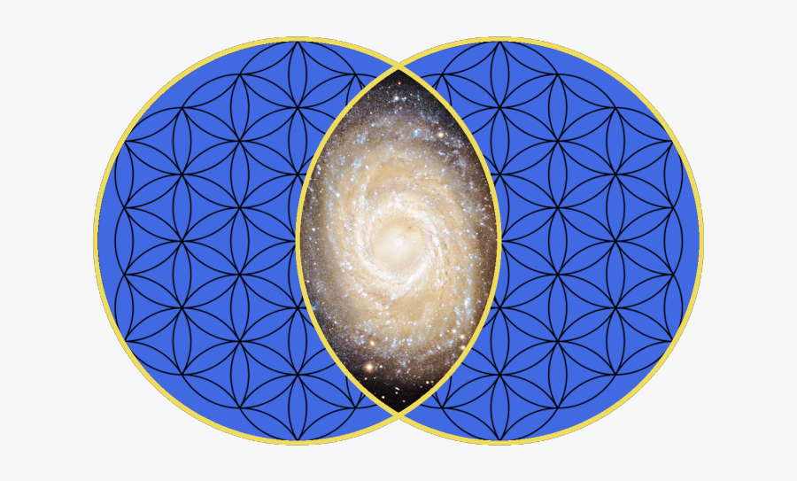 Vesica Piscis Sacred Geometry Symmetry Urinary Bladder - We In The Universe, Transparent Clipart