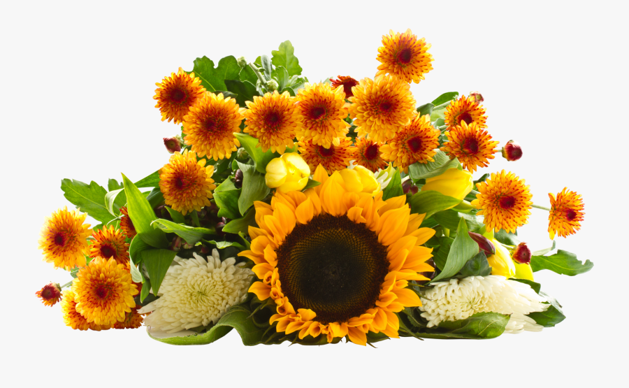 Transparent Sunflower Bouquet Clipart - Sunflower Clip Art Fall, Transparent Clipart