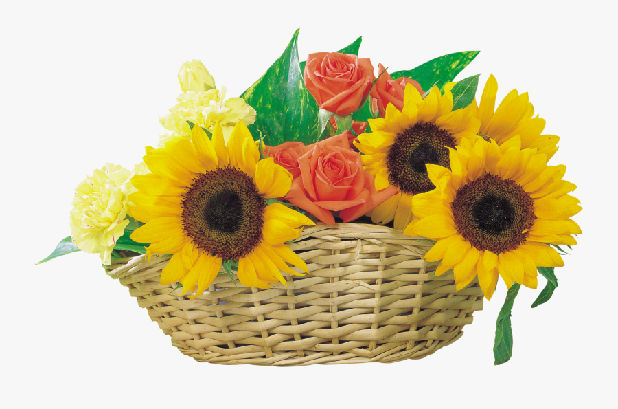 Common Sunflower Clip Art - Bouquet, Transparent Clipart