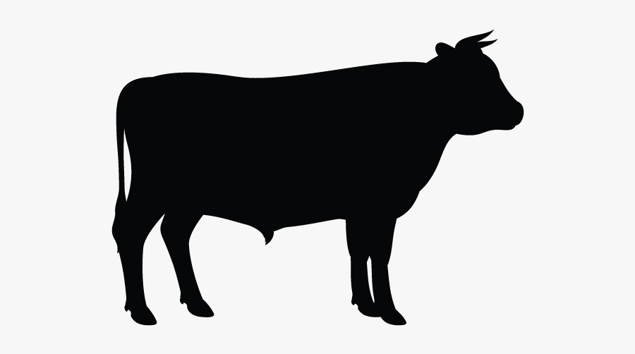 Clip Art Vector Graphics Angus Cattle Silhouette Holstein - Cow Silhouette Vector, Transparent Clipart