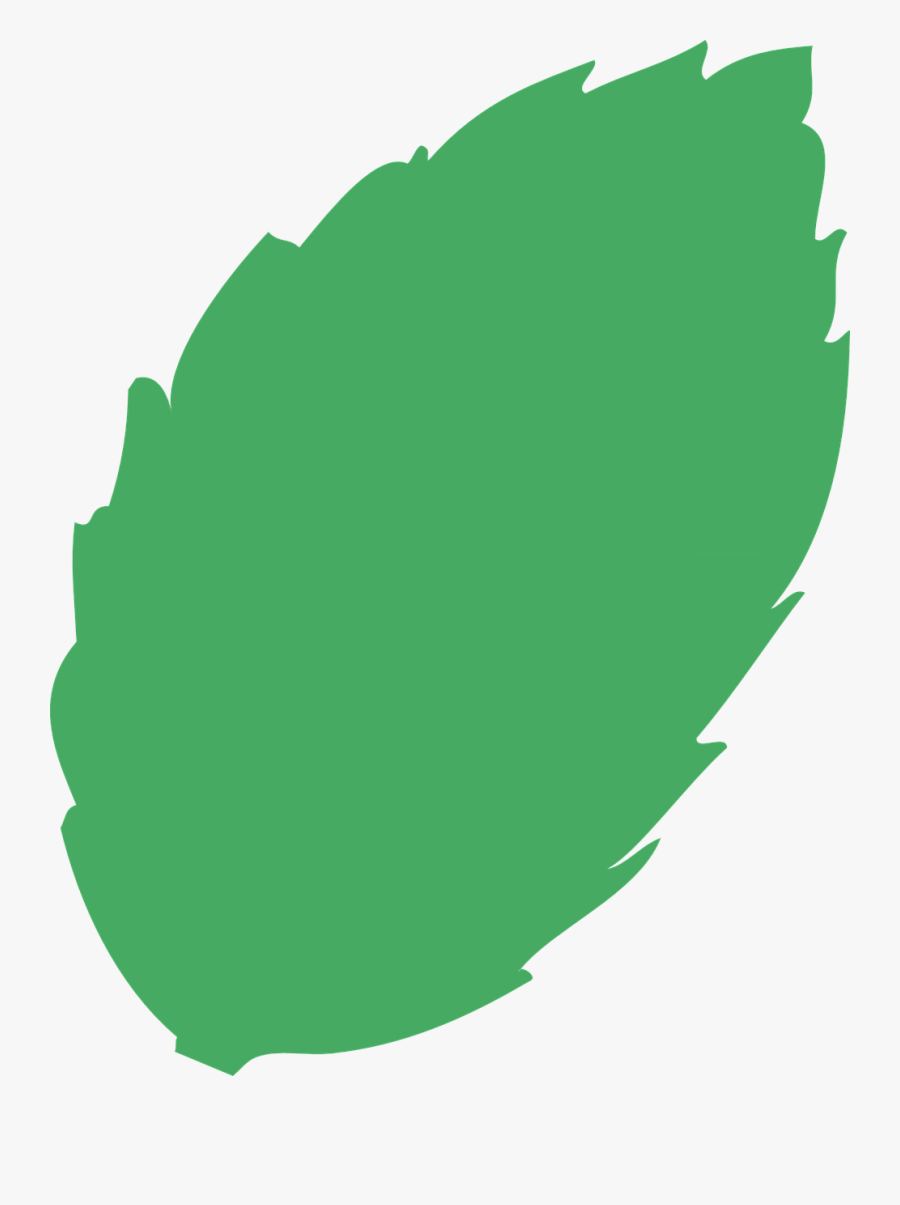 Transparent Aspen Leaf Clipart - Folha De Árvore Png, Transparent Clipart