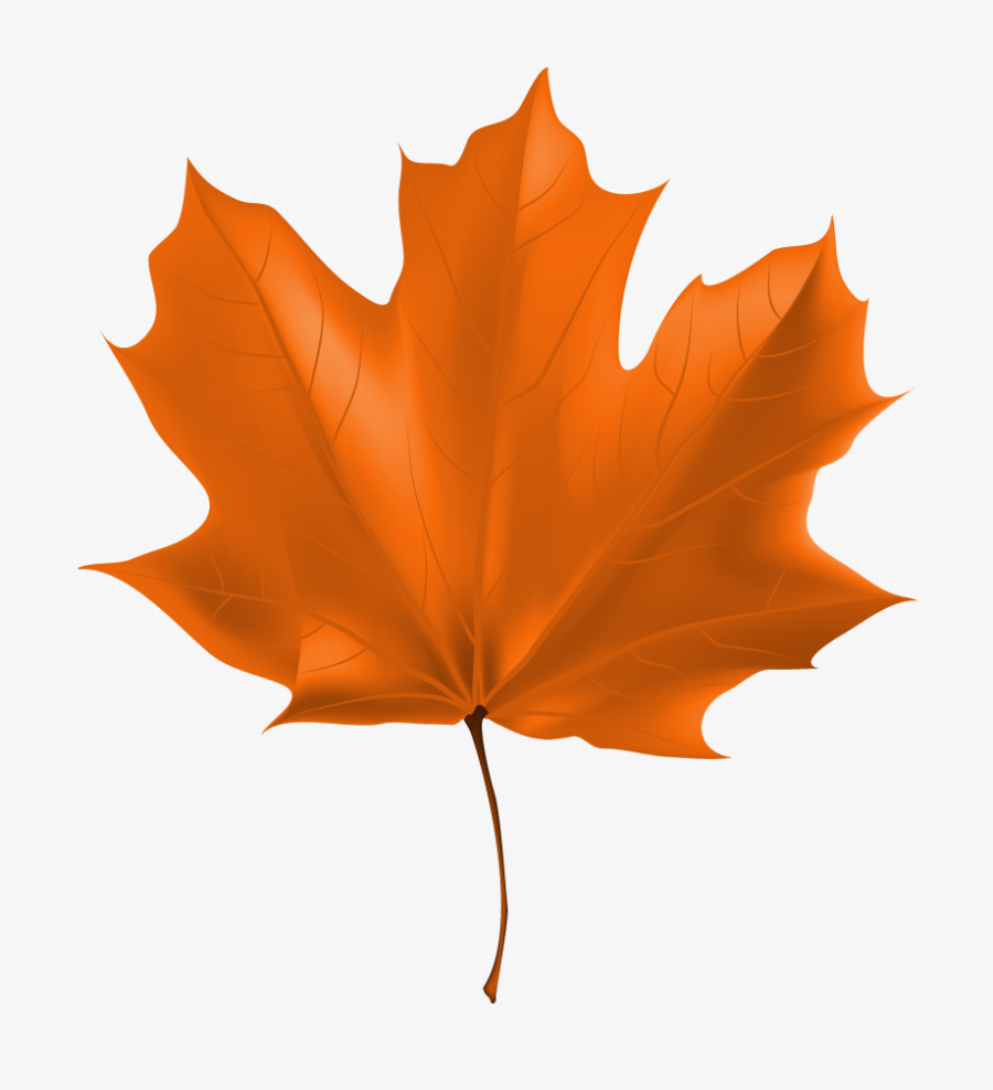 Autumn Leaf Clipart Png , Png Download - High Resolution Maple Leaf Real, Transparent Clipart