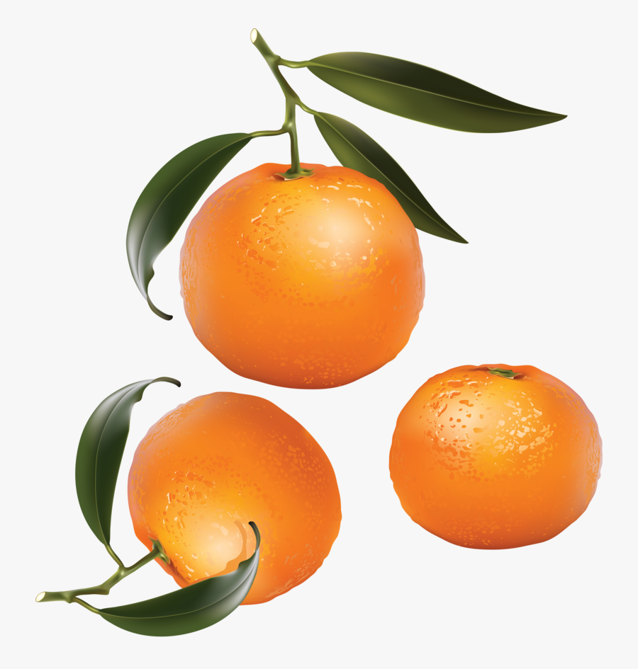 Mandarin Png, Download Png Image With Transparent Background, - Orange Fruits Clip Art, Transparent Clipart