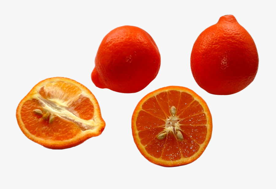 Minneola Tangerines Png Image - Bitter Orange, Transparent Clipart