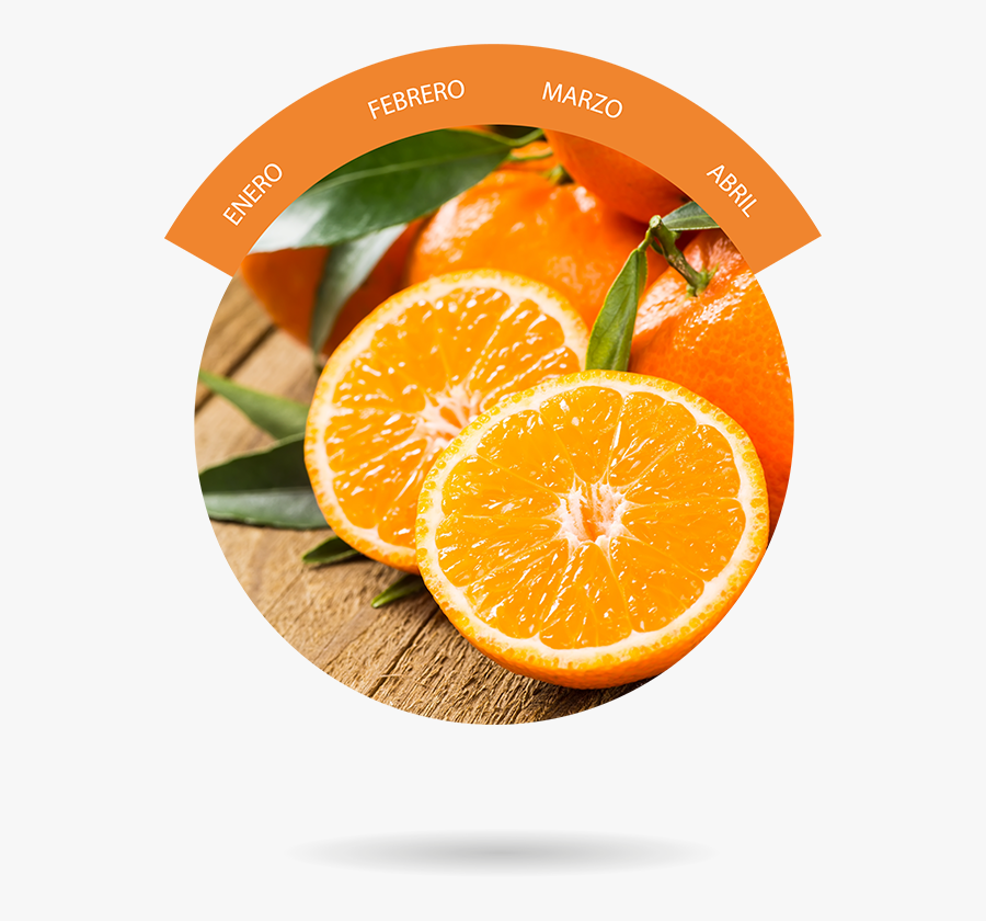 Orange Or Lemon, Transparent Clipart