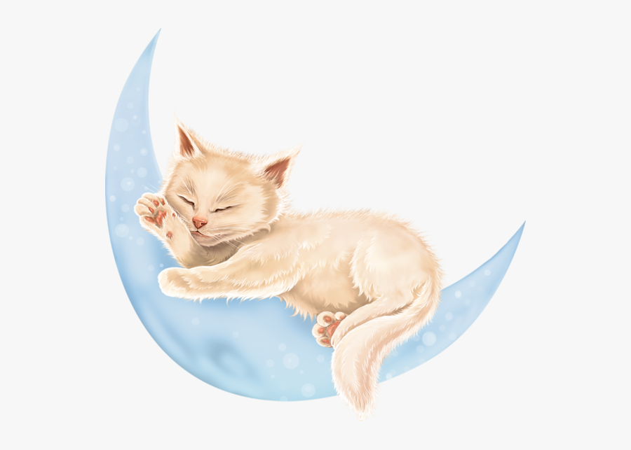 Kitten, Transparent Clipart