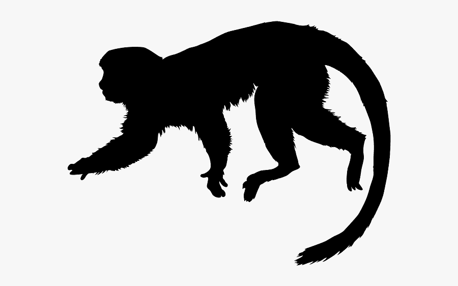 Tamarin Silhouette , Free Transparent Clipart - ClipartKey