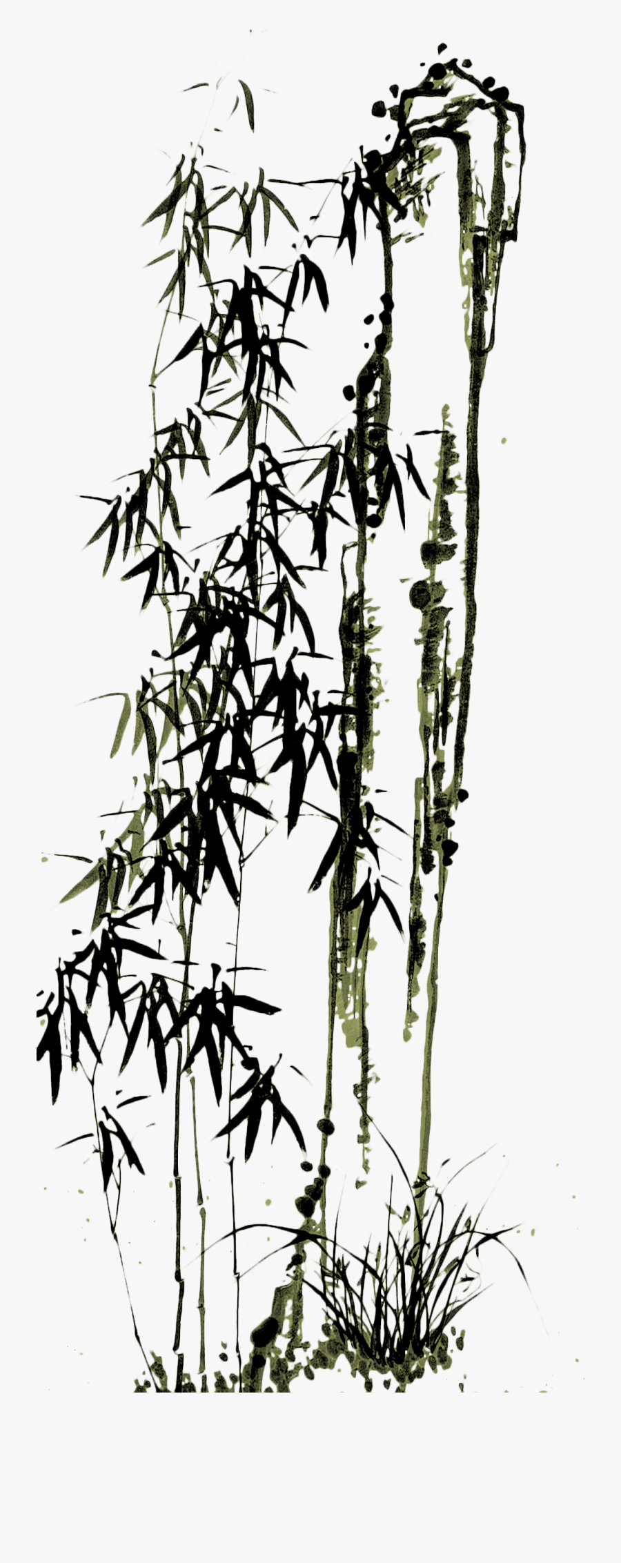 Drawn Bamboo Kawayan - Chinese Bamboo Tree Tattoo, Transparent Clipart