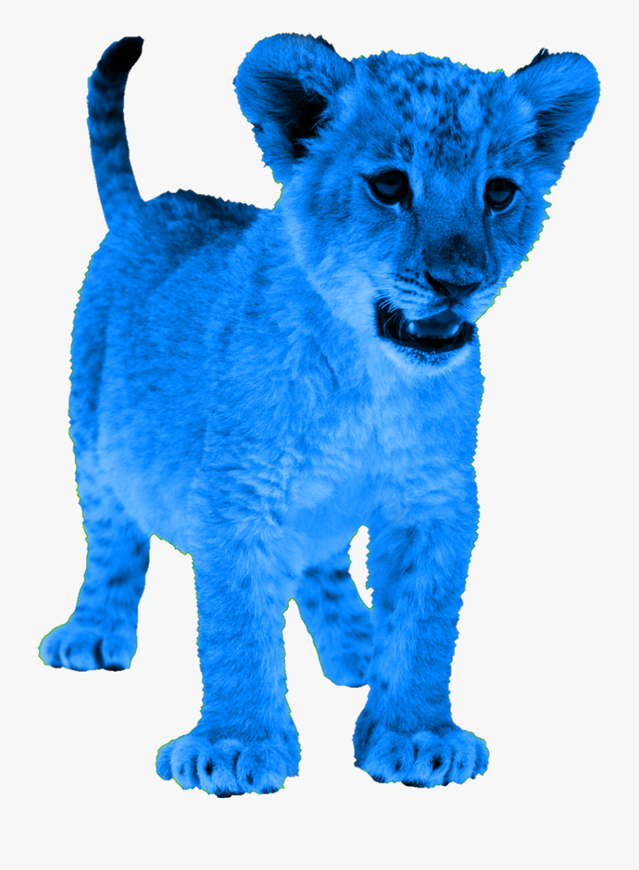 #blue #lion #lioncub #cuteanimals - Lion Cub Transparent Background, Transparent Clipart