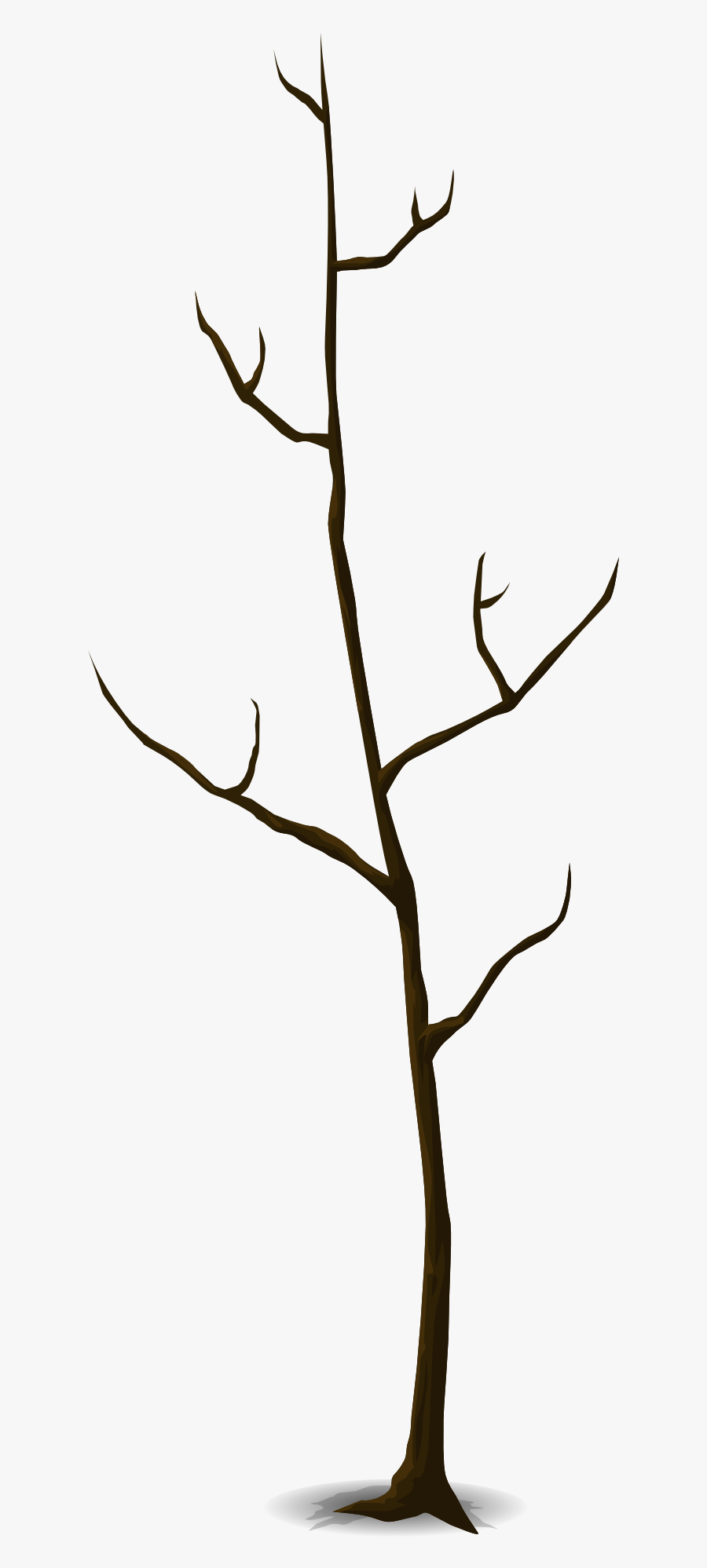 Tree, Transparent Clipart